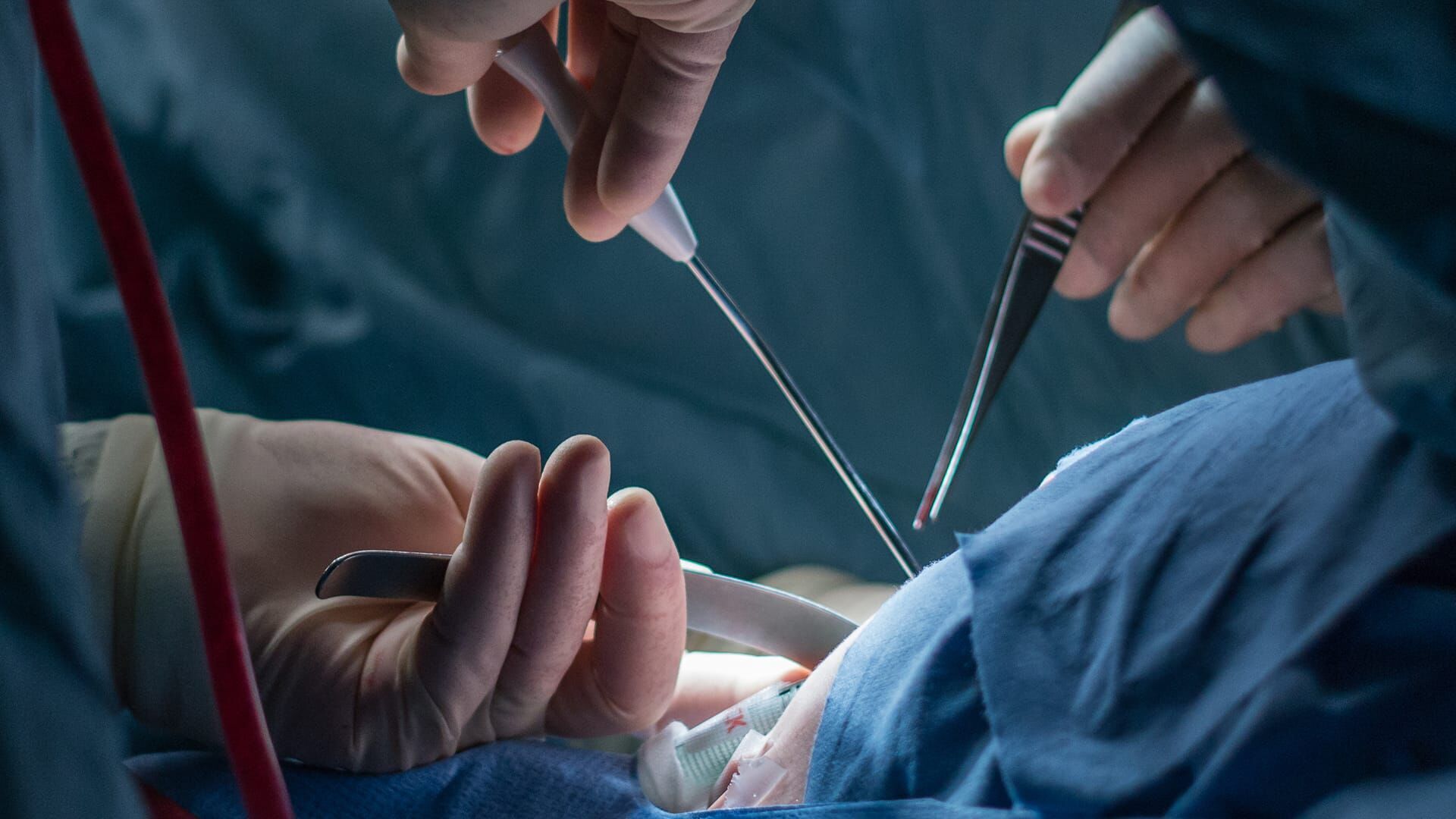 Hautnah – Dermatologen im Einsatz