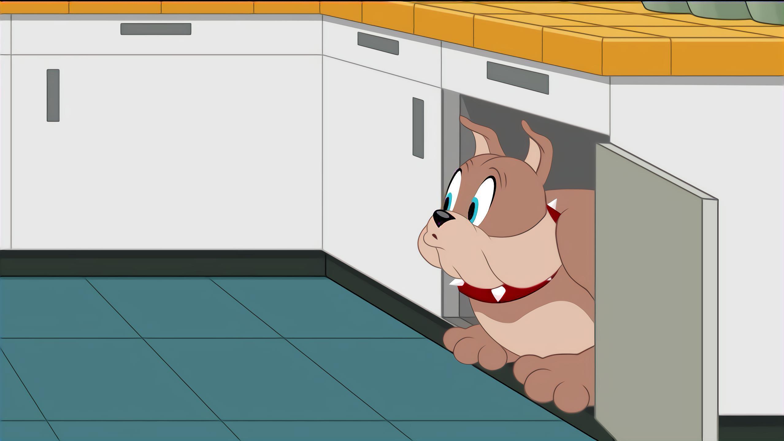 Die Tom und Jerry Show