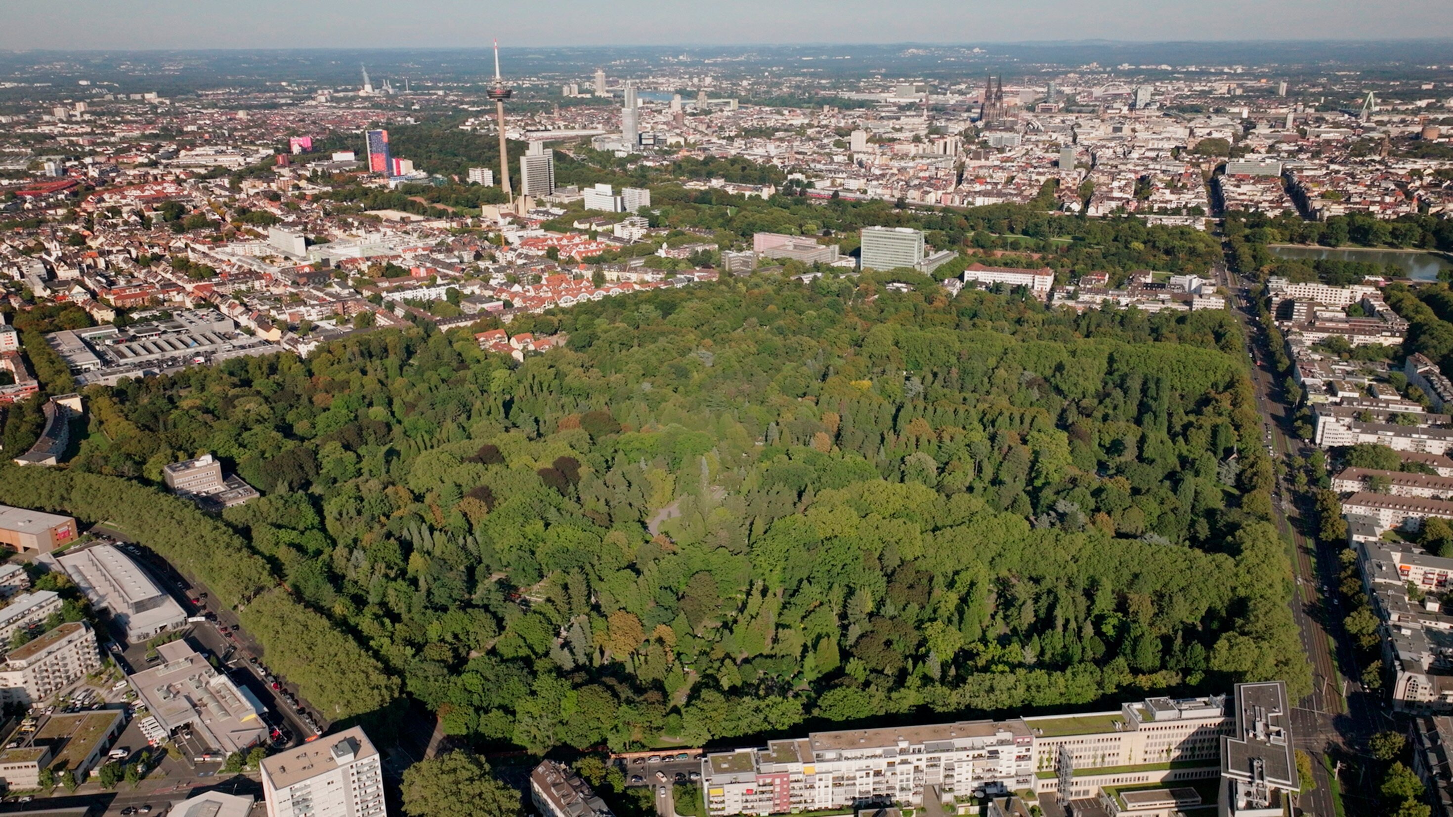 Geheimnis Kölner Melaten – Stadt der Toten