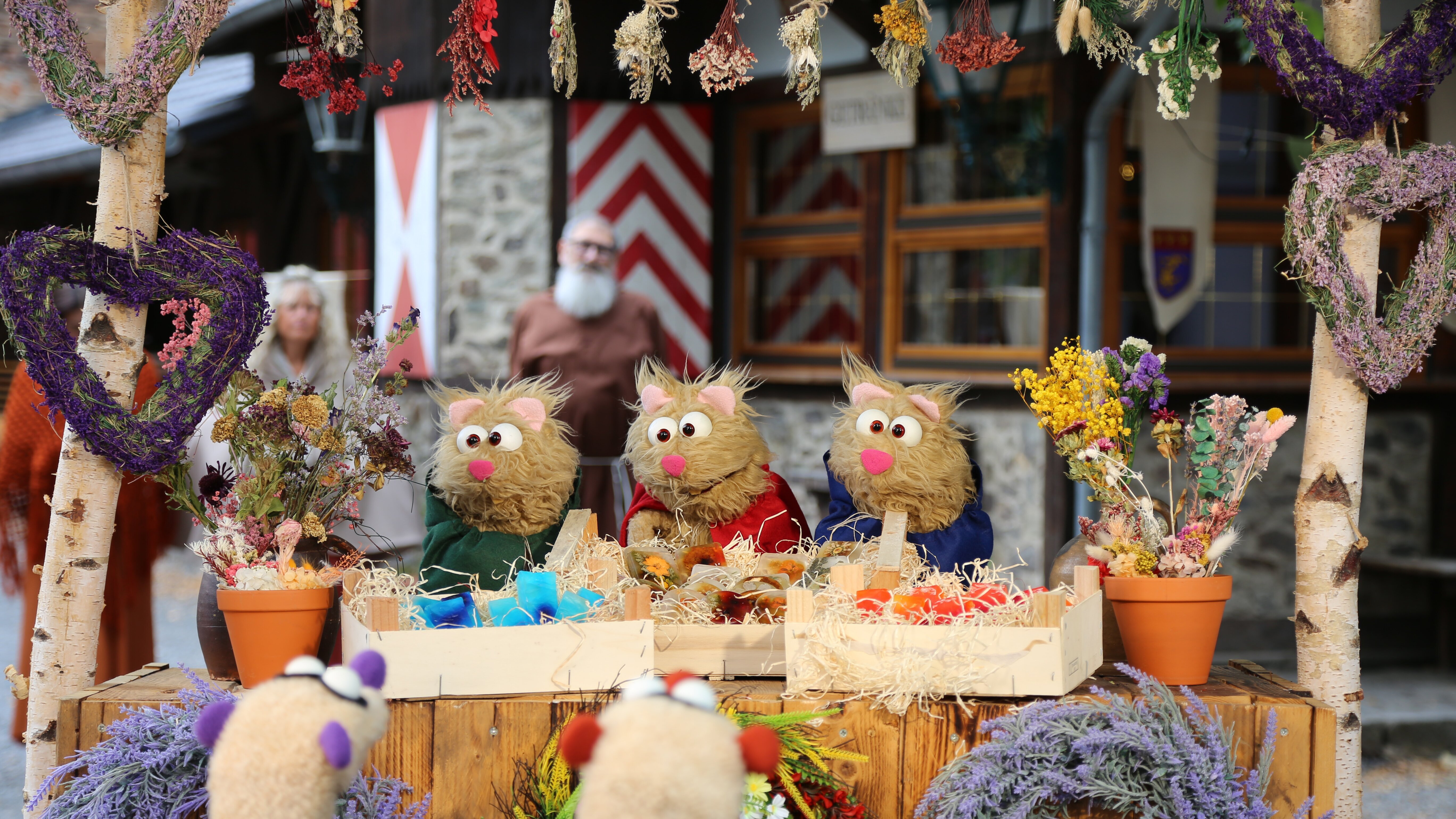 Ein Fall für die Erdmännchen